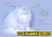 Scam - A Fluffy Dream Cattery Buyer Beware!